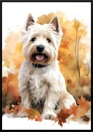 A2 59,4x42 PLAKAT OBRAZ PIES WEST HIGHLAND WHITE TERRIER TERIER JESIEŃ