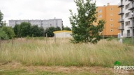 Działka, Chojnów, Legnicki, 779 m²