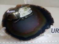 MIN 1523 AGAT Brazylia poler i motyw zwierzęcy