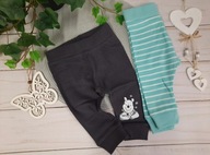 Disney Kubuś Puchatek spodnie dresowe 62-68cm 3-6mies 2pak