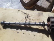 WAŁEK ROZRZĄDU 2.0 BLUEHDI 180KONI