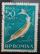 Ryby (kas) - luzak - do uzupełnień 13/5