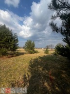 Działka, Suwałki, 3001 m²