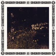 Sarah Davachi Pale Bloom Winyl