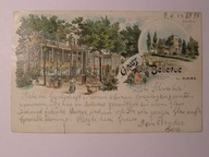 Elbląg Elbing villa Bellevue i Flora 1898