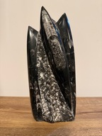 kamień naturalny ozdoba figurka rzeźba orthoceras