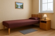 Tapczan tapczany kozetka KONSTRUKCJA Z DREWNA TANIO DOSTAWA