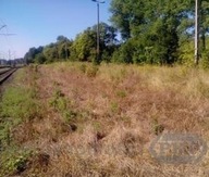 Działka, Rąbino, Rąbino, Świdwiński, 832 m²