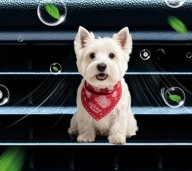 Zapach 2D PIESEK do samochodu na kratkę nawiewu PREZENT