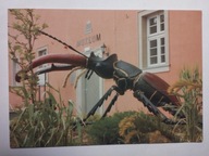 JELENIA GÓRA - WIDOK - TEN PRZEDMIOT