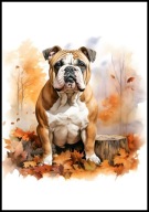 A2 PLAKAT OBRAZ, PLAKAT PIES BULDOG ANGIELSKI, JESIEŃ AKWARELA LIŚCIE