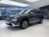 Hyundai Santa Fe Platinium / 4x4 / 7 osobowy / Kre