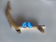 kwarc kocie oko oryginalne kolczyki srebro 925