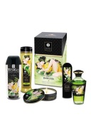 Zestaw do namiętnych masaży - Garden of Edo Kit