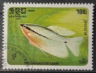 Ryby (kas) - luzak - do uzupełnień 13/7