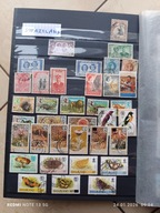 Swaziland starsze oraz fauna i flora..KL AF8