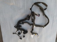 Renault scenic III instalacja drzwi przednich 241259931R