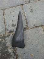 PEUGEOT 308 T9 II NAROŻNIK OSŁONA ZAKOŃCZENIE PODSZYBIA LEWA 98072348XT