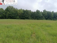 Działka, Głuszyca, Wałbrzyski, 2016 m²