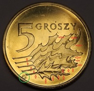 5 gr groszy 2024 DESTRUKT mocne zdwojenie liści i krater +duże kleksy awers