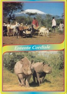 KENIA - KILIMANDŻARO - MASAJOWIE - NOSOROŻEC