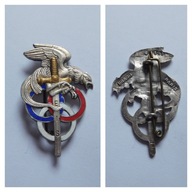 ODZNAKA WOJSKOWA - FRANCJA