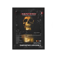 Plakat w Ramce z Szyba Wysoka jakość 30x40