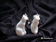 Kolczyki. Białe koty. Halloween.