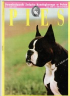 Pies nr 5/1991
