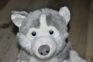 pluszak maskotka fajny pies piesek Husky od Bauer