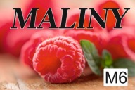 BANER PLANDEKA SPRZEDAŻ MALIN 100x50 M6