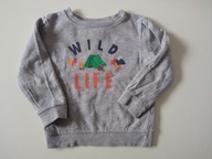 Wild Life dziecięca bluza przez głowę r 98