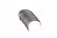 panewki główne Opel Z19DT Z19DTH Z19DTJ ASTRA VECTRA zafira 1.9 CDTI