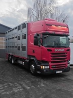 SCANIA R 450*do żywca*świniarka*bydła