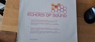 ECHOES OF SOUND - NEED SOMEBODY