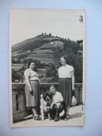 SZCZAWNICA WIDOK NA BRYJARKĘ PIES przedwojenne FOTO