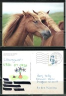 K24721)Karta Zwierzecia: Kon Haflinger, wyslany