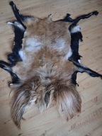 ... ŁADNA NOWA SKÓRA Z OWCY KAMERUŃSKIEJ NIEUŻYWANA