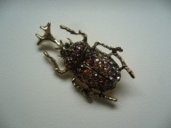 BROSZKA ŻUK CHRABĄSZCZ OWAD KRYSZTAŁKI