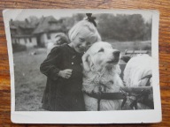 PRL dziecko dziewczynka pies 60te (1485)