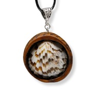 Biżuteria z duszą - Muszla morska - brzoza, prezent dla niej, pirografia