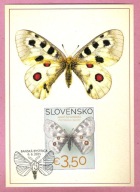 Słowacja 2025, MC FDC owady, motyl, /b.wysoki nominał/