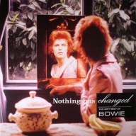 DAVID BOWIE - NOTHING HAS CHANGED / 2LP / THE VERY BEST