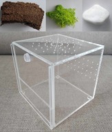 Terrarium dla pająków, świerszczy, patyczaków - drzwi gilotynowe + dodatki