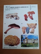 NAKLEJKI IS ARKUSZ NR 216 GRZYBY POLSKICH LASÓW, HISTORIA SAMOLOTU, ZAMKI