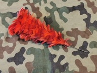 Kita Pióra Księstwo Warszawskie -5-