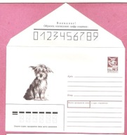 ZSRR 1988, ck psy bezdomne /wyd.pocztowe/