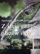 Z ŻYCIA GADÓW PŁAZÓW I RYB Bilińscy