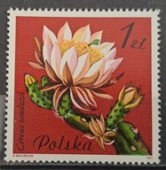 Polska Fi 2637 luzak ** - ( 1981 )