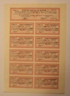 TALON DO AKCJI NA 100 ZŁOTYCH - LITERA "C" 1939 - 1948, DYWIDENDOWY